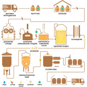 Реферат: Технология производства пива