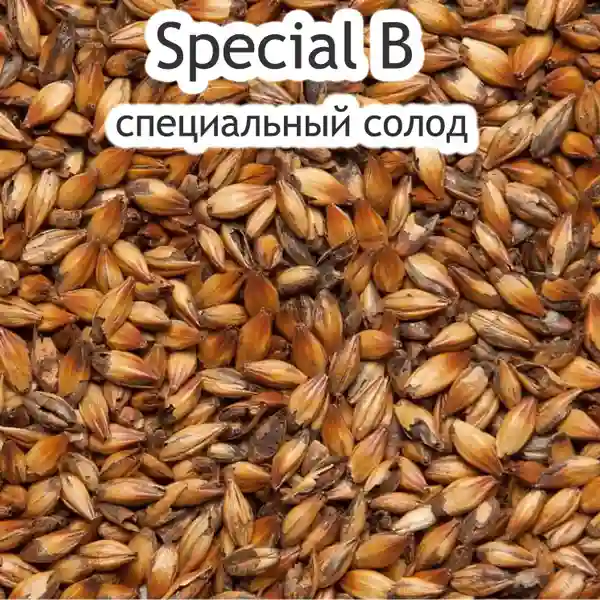 Солод Special B, 100 г