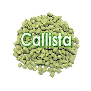 Хмель Callista 4%