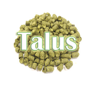 Хмель Talus 50 г Хмель Talus 50 г
